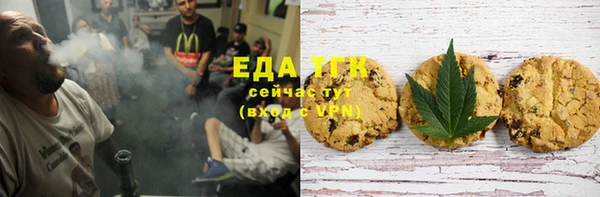 шишки Каменногорск