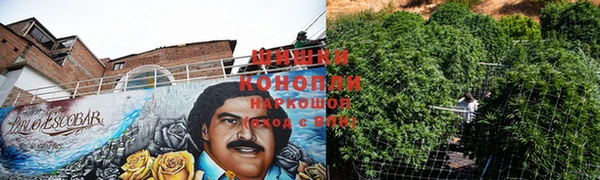 стафф Карпинск