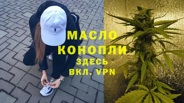 шишки Каменногорск
