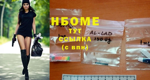 стафф Карпинск