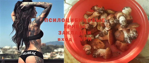 ешки Касимов