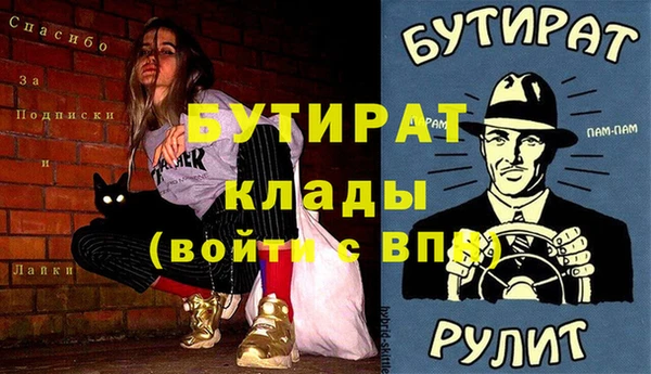 шишки Каменногорск