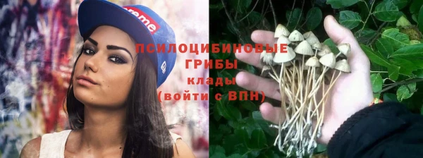 стафф Карпинск
